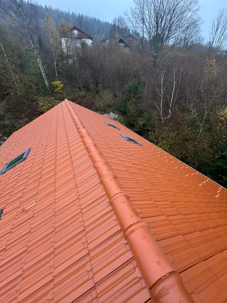 cgconcept-toiture-couverture-91